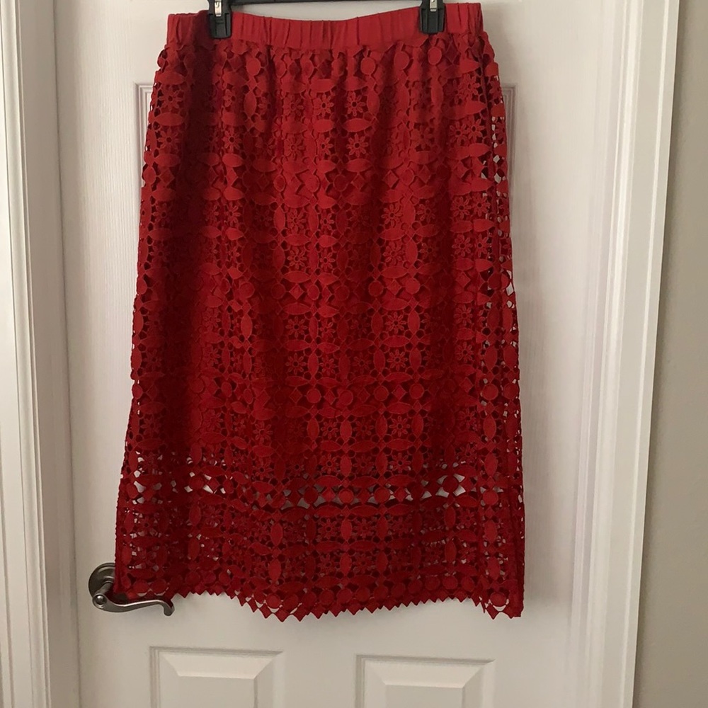 Anthro brand skirt. Size XL